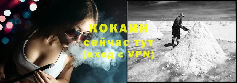 как найти   Новоузенск  Cocaine Fish Scale 