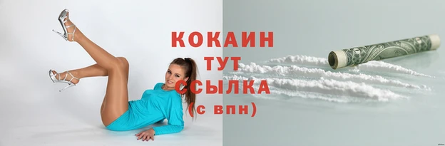 хмурый Кукмор